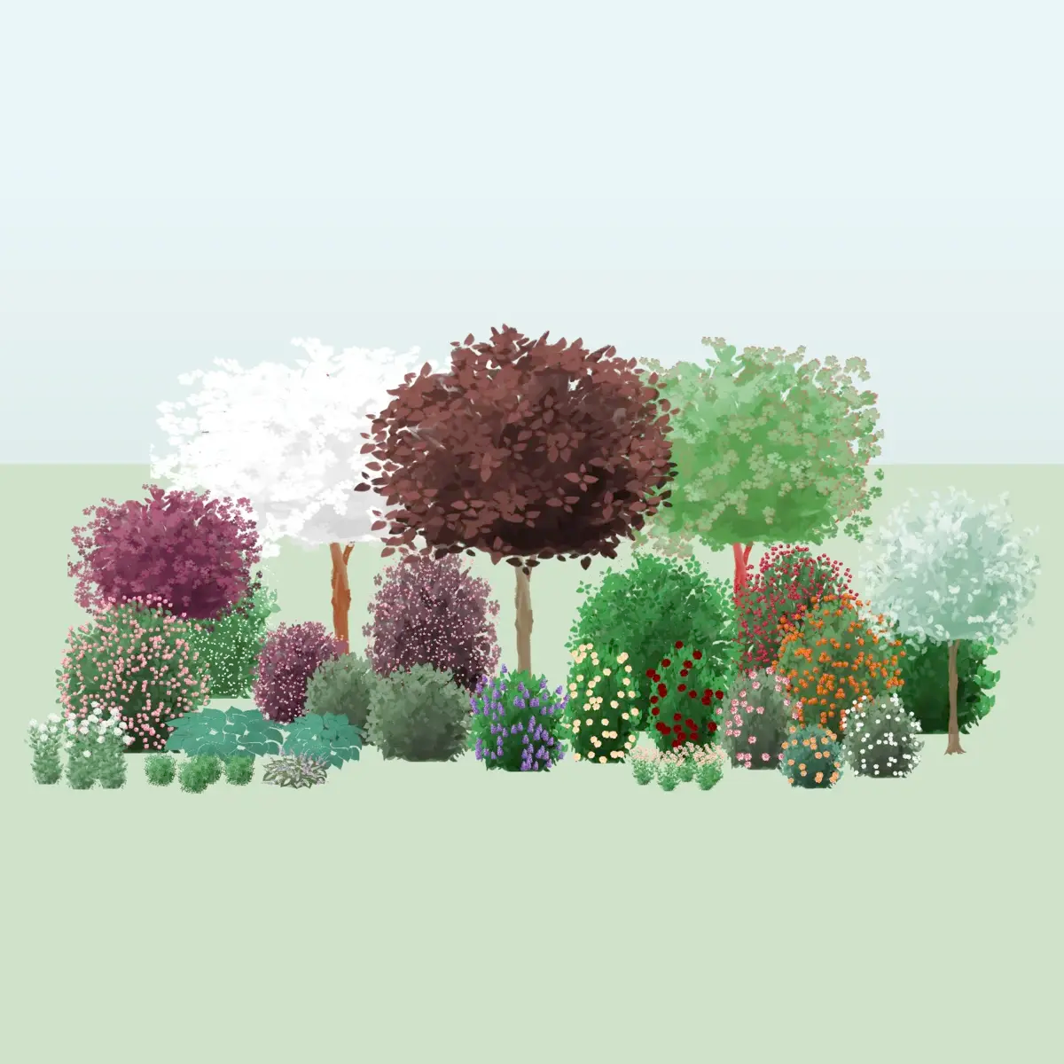 Garden in early summer