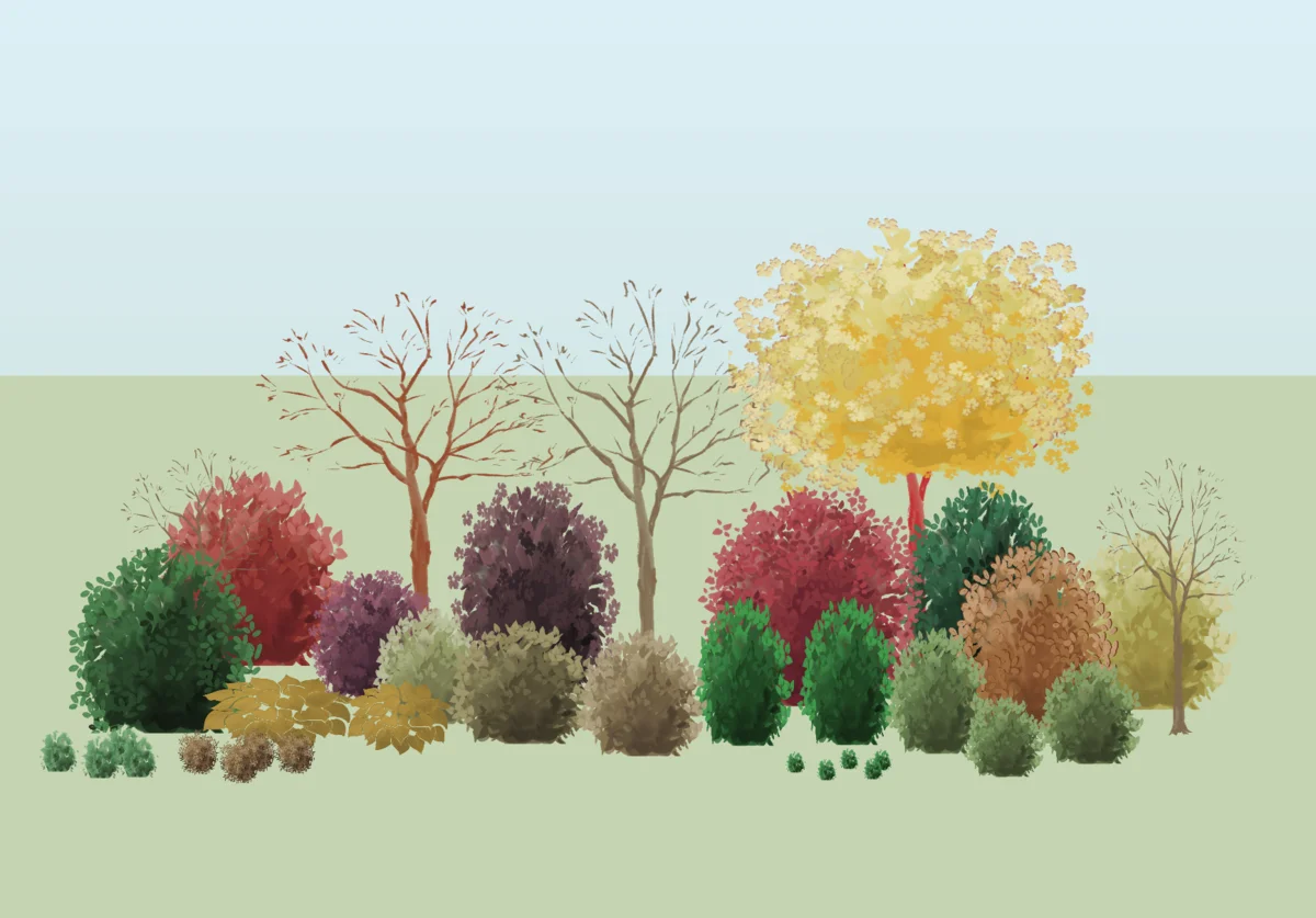 Garden in Late Autumn