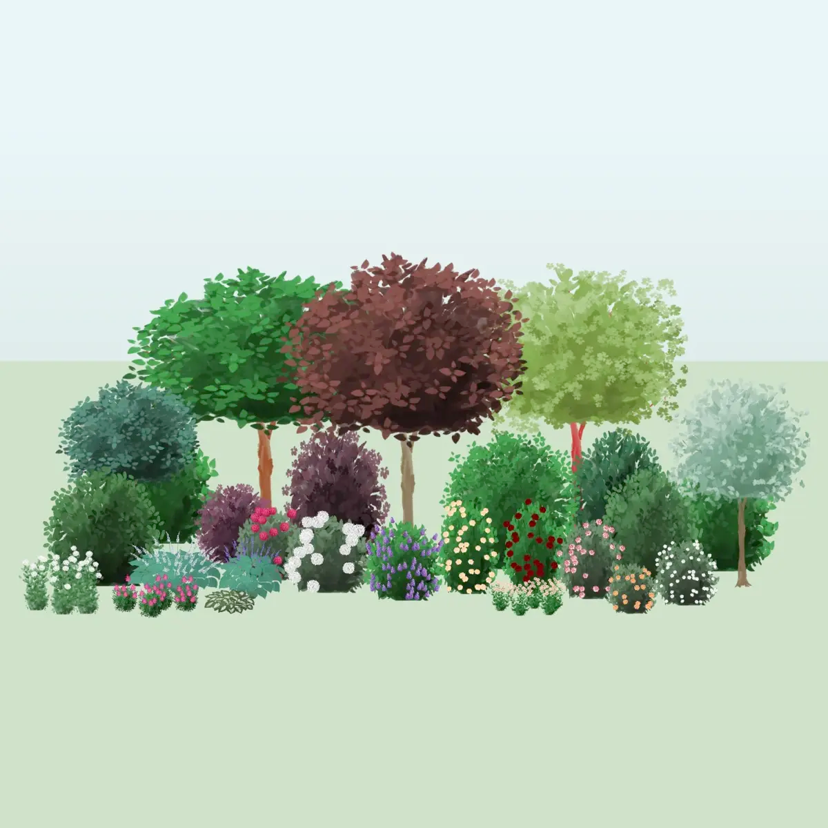 Garden in late summer