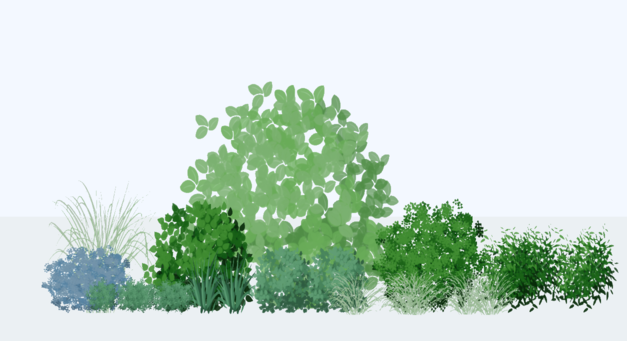 Garden visualization showing seasonal changes in plant appearance and bloom