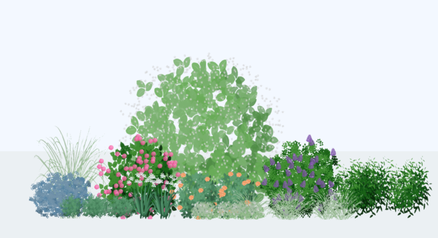 Garden visualization showing seasonal changes in plant appearance and bloom