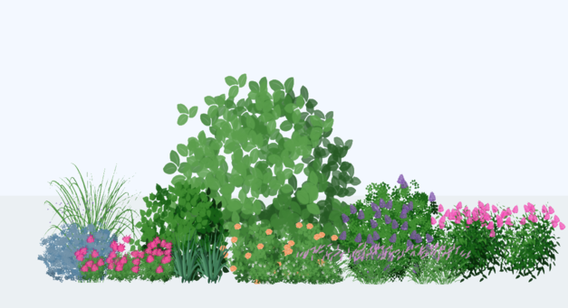 Garden visualization showing seasonal changes in plant appearance and bloom