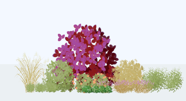 Garden visualization showing seasonal changes in plant appearance and bloom